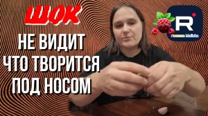 Бровченко _Не видит что творится под носом _Обзор _Семья Бровченко