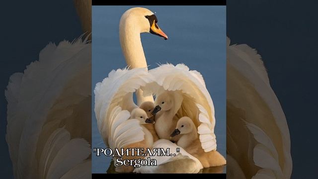 Песня,посвящённая - 