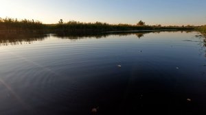 Щука на новом участке реки.