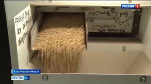 8.00 - «Вести. Юг». от 19.04.2026г.