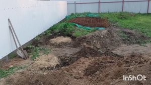 Саженцы персика, абрикоса, черешни