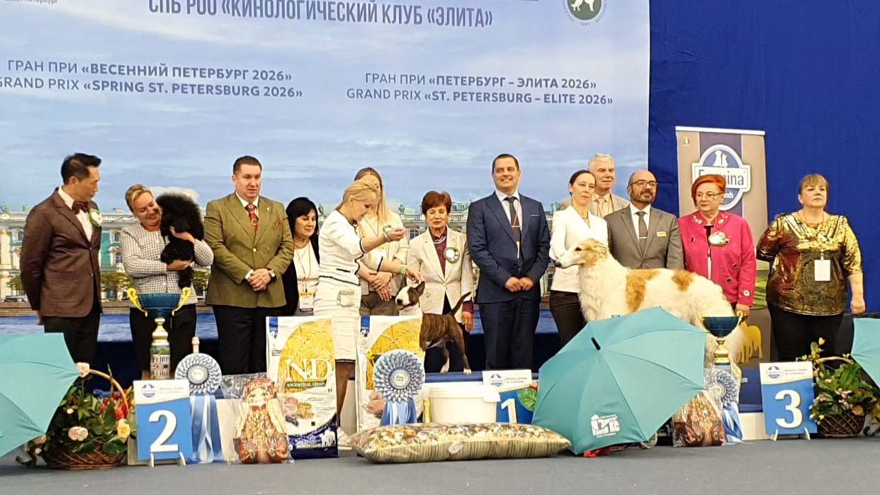 18.04.2026, СПб. Клуб 