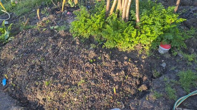 Поездка в мою любимую Абхазию 16.04.2026 г.