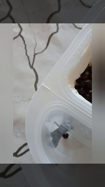 я как всегда какой то фигнёй занимаюсь