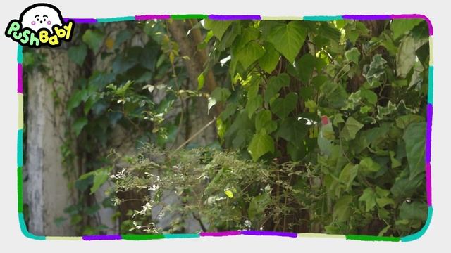 Everyday Life Of PushPush And NEW Hide And Seek  Puppet PushBaby Official