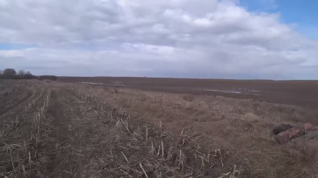 ОХОТА НА ГУСЯ, ОТКРЫТИЕ