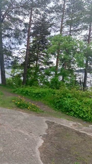 По просторам Карелии