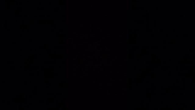 та самая зайка и та самая утка фан-фан