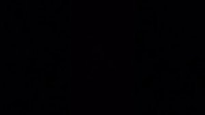 та самая зайка и та самая утка фан-фан