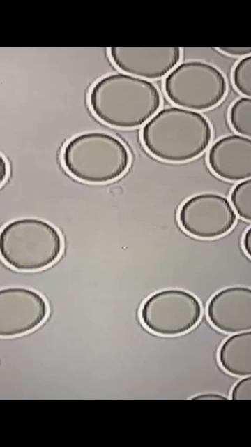 🌐 Https://ВсеИонизаторыВоды.РФ