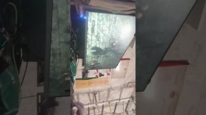 Дарк соулс 2