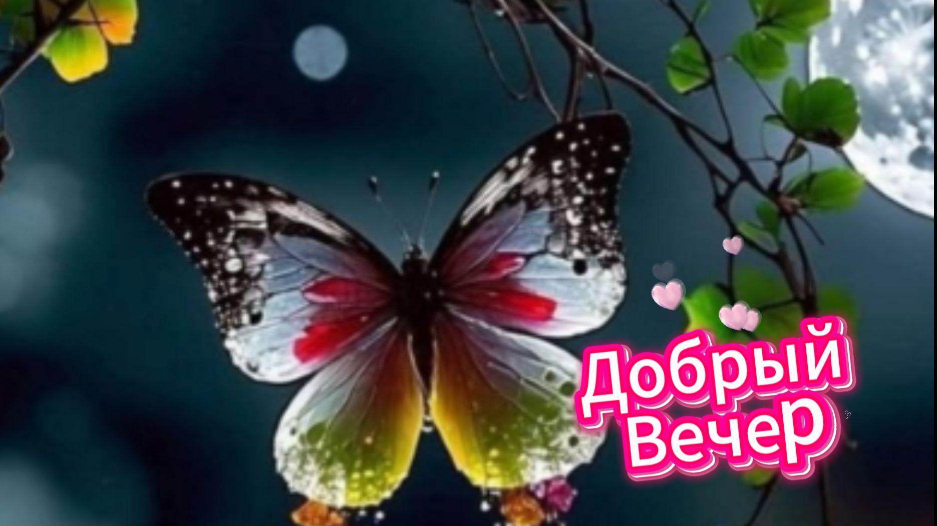 Добрый вечер: открытки и музыкальные пожелания доброго вечера с красивой музыкой | Домохозяйка