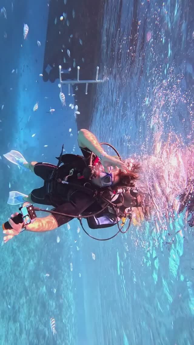 Солнце, море и тысяча мгновений | Египет | Meraki | Подводный мир глазами дайвера