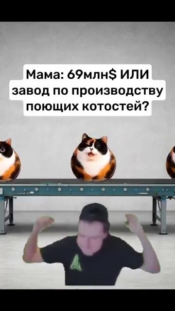 Продадим подороже #юмор #котость #коты #мило