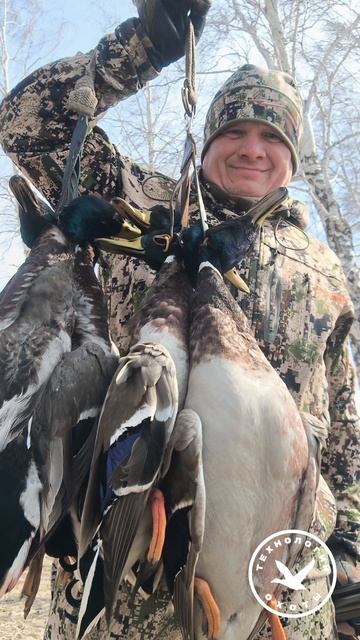 Охота на утку. Великолепная утрянка #охота #охотник #орудие #наутку