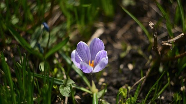 Пробуждение 17.4.26.