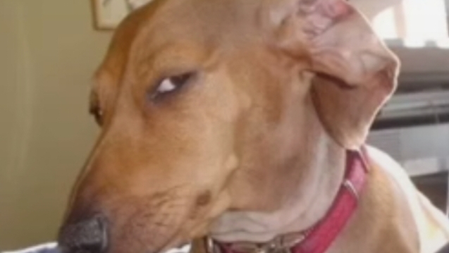 я ухожу ( не точно) 
мусор захвати)