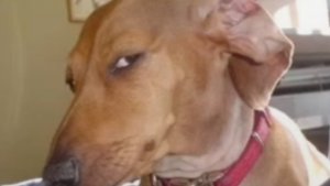 я ухожу ( не точно) 
мусор захвати)