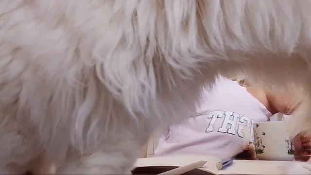 мой обычный день