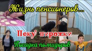 19 апреля 2026 г.Стряпаю пирожки//Высаживаем помидоры в новую теплицу👍