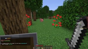 Прогулка по мини играм в Minecraft Java