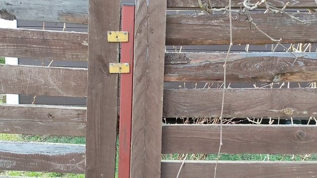 Разбираю навес, накрываю парники, показываю  красивое и рассказываю о заборе/Дача как есть 18.04.26