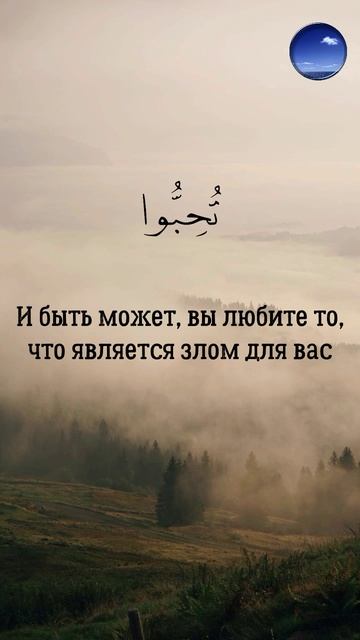 Сура «аль-Бакъара», 216