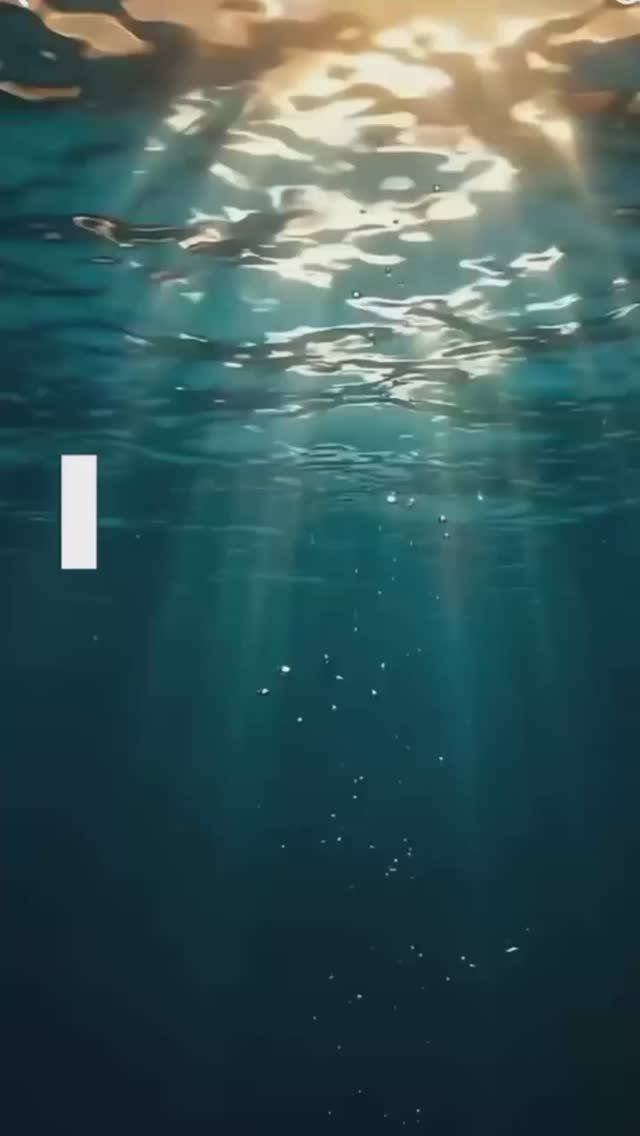 МИРОВОЙ ОКЕАН