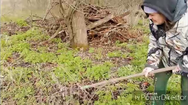 Работа в саду началась.