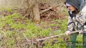 Работа в саду началась.