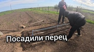 Губарева- ПОСАДИЛИ С ПАПОЙ ПЕРЕЦ  ЖИЗНЬ В ДЕРЕВНЕ