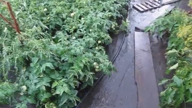 В былые времена. Август 2015.