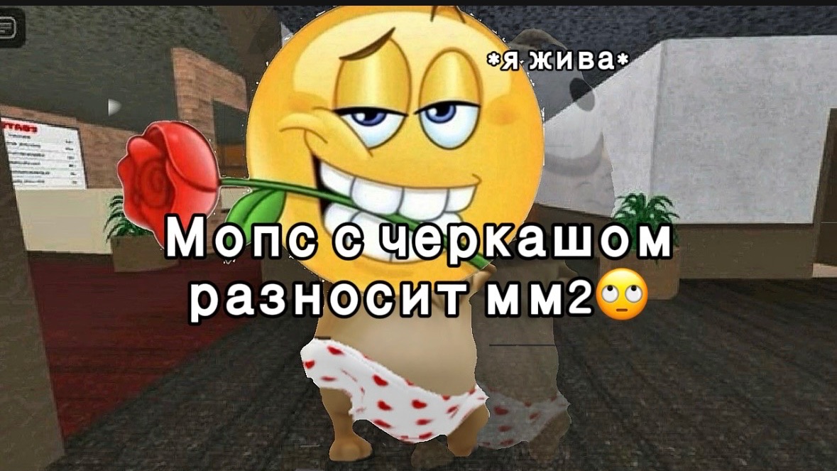 🐶МОПС РАЗНОСИТ ММ2 С ЧЕРКАШОМ💩*я жива* #мм2 #роблокс #roblox #mm2 #актив