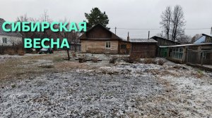 В Сибирь вернулась зима и выпал весенний снег