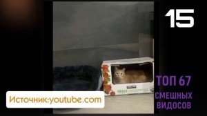 Топ 67 Смешных Видосов - 1 выпуск
