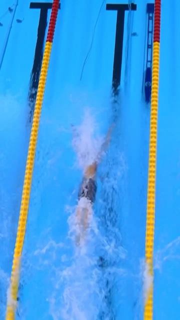 Красота баттерфляя🐬🦋