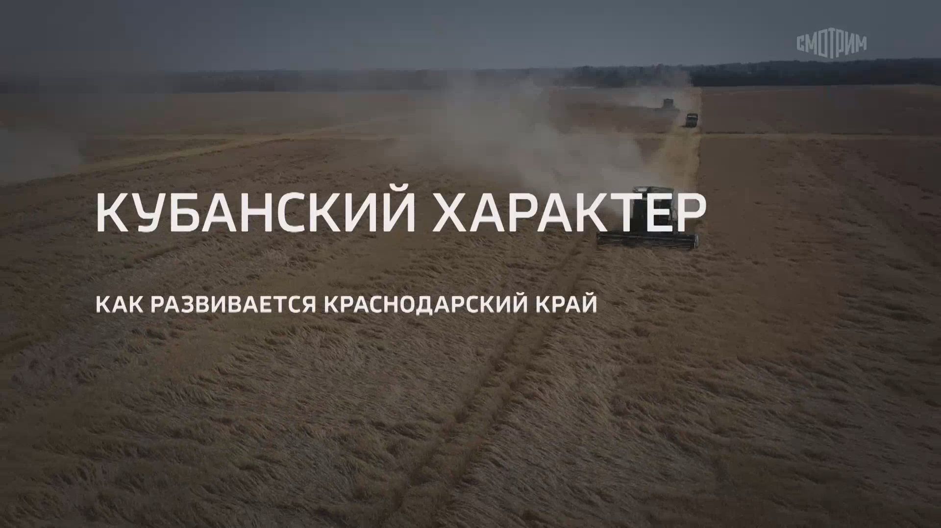 Кубанский_характер_Как_развивается_Краснодарский_край