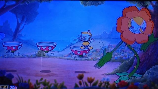 КАПХЕД ﹥КЭГНИ ГВОЗДИКА ТАКТИКА🌼