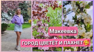 Как же красиво в городе 😍🌸☀ #макеевка #весна #влог #природа