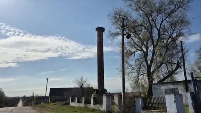 Алиса Неземная - ПРОГУЛКА С ПОЛЬЗОЙ,И В УДОВОЛЬСТВИЕ-  И ПОКУПКИ