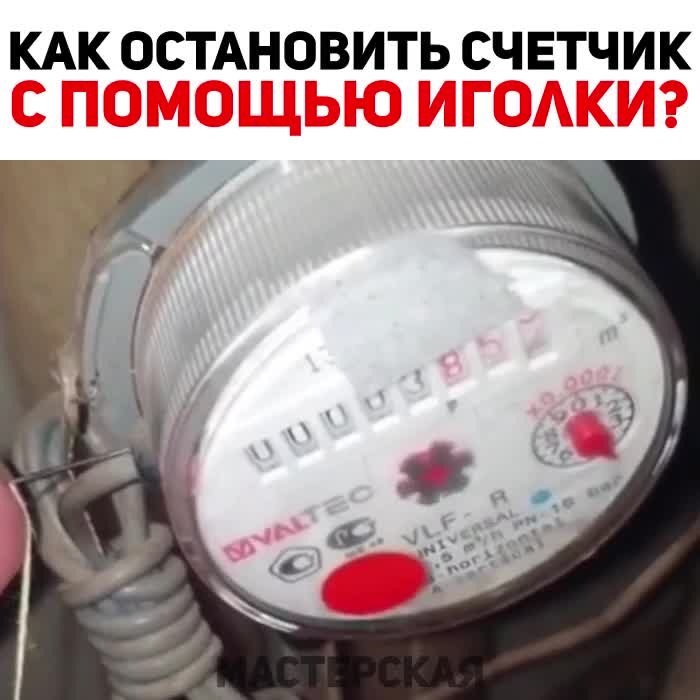 #Милые #животные #видео