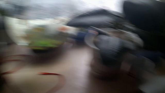 влог с Евой🩷