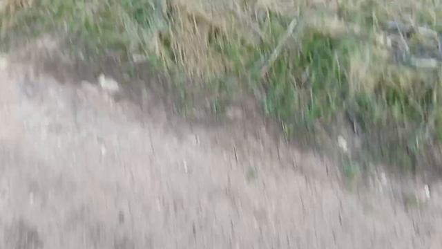 сиреноголового мы знаем где он!!!!!!🫪