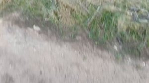 сиреноголового мы знаем где он!!!!!!🫪