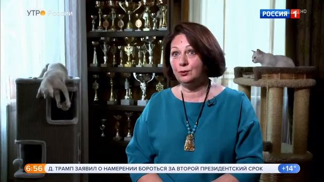 Утро России бурмилла