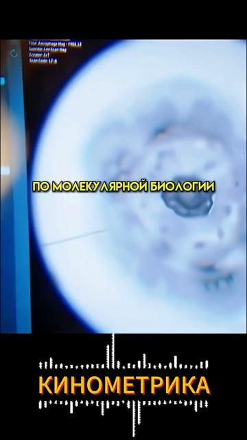 Проект „Конец света“