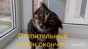 В апреле Ейск цветущий сад☀️ В многоквартирных домах закончен отопительный сезон. Что на ужин...