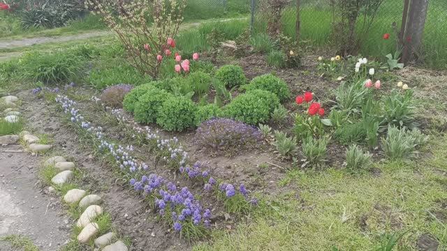 Ещё один из моих цветников!