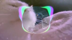 песня ты похож на кота