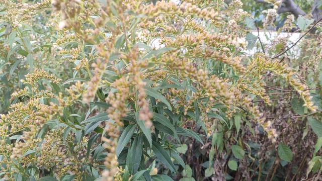 Один из дней города Евпатории  29 сентября 2021 г  Крым ХАН БАТОН XAH 6ATOH  VID_20210929_150454